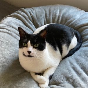 Meet your Posher, Jill